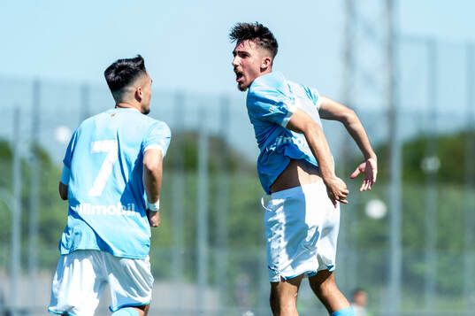 Malmö FFs Alexandru Ghita jublar