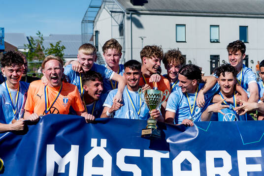 Malmö FFs spelare jublar