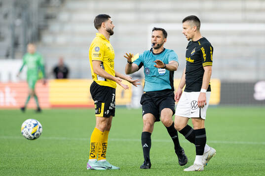 Elfsborgs Arber Zeneli, Domare Granit Maqedonci och AIKs