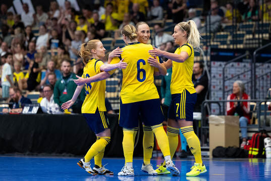 Bläddra bland fler bilder av Futsal, International Friendly, Sweden - France