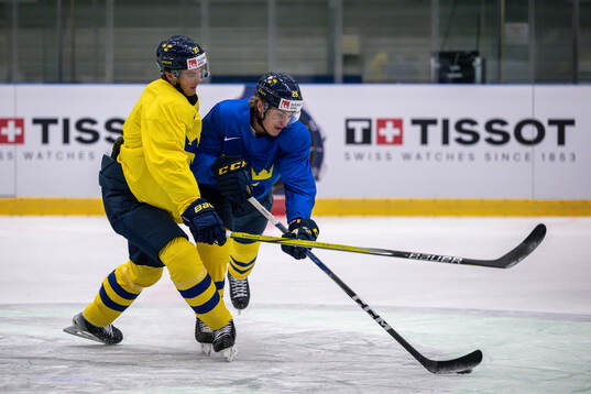 Isac Lundeström and Pontus Holmberg of Sweden at a