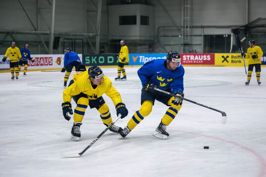 Fabian Zetterlund and André Burakovsky of Sweden at a