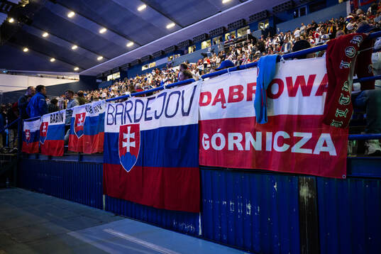 Slovenian flags