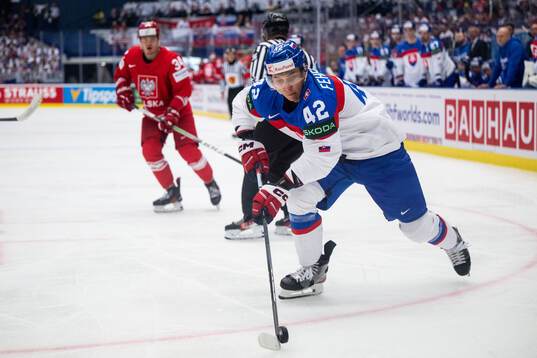 Martin Fehervary of Slovakia