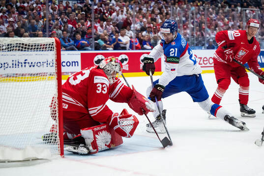 Goaltender Tomas Fucik of Poland and Milos Kelemen of Poland