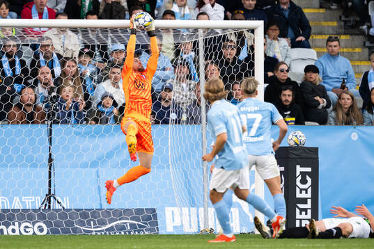 Malmö FFs målvakt Ricardo Friedrich