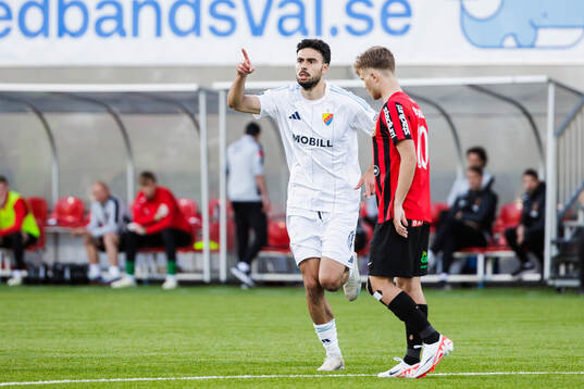 Djurgårdens Deniz Hummet jublar