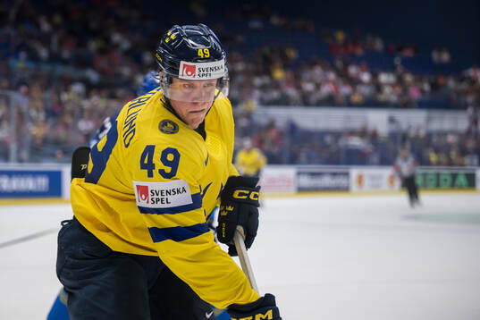 Fabian Zetterlund of Sweden