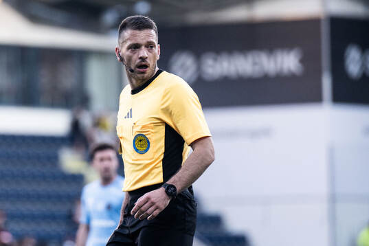 Domare Jovan Krsmanovic