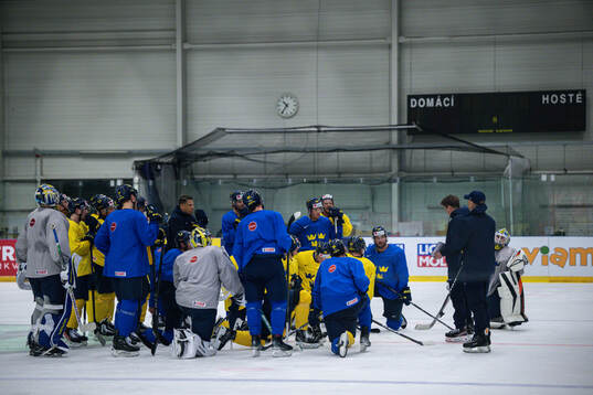 Players of Sweden at a practice session