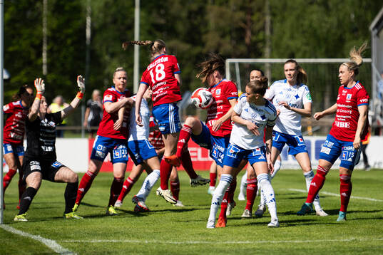 Vittsjös Michaela van