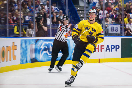 Fabian Zetterlund of Sweden celebrates