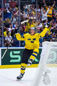 Fabian Zetterlund of Sweden celebrates the 2-3 goal