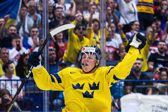 Fabian Zetterlund of Sweden celebrates the 2-3 goal