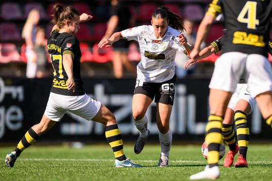 Häckens Rusul Rosa Kafaji