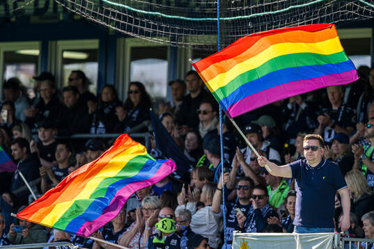 Spectators in the stands