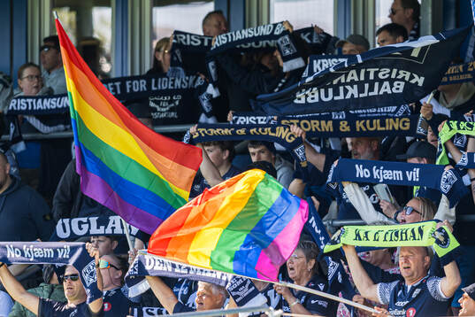 Spectators in the stands