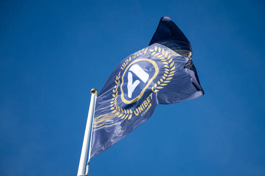 Flagga med Allsvenskans logotyp