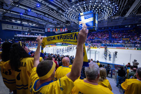 Supporters of Sweden