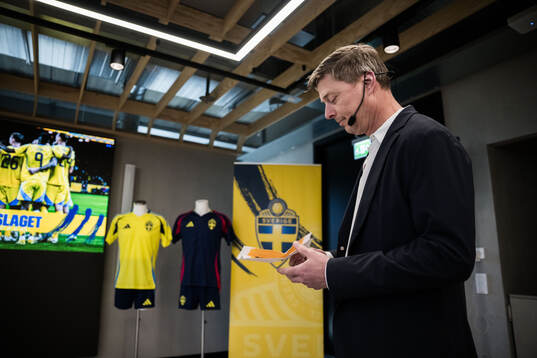 Head coach Jon Dahl Tomasson of the Swedish national