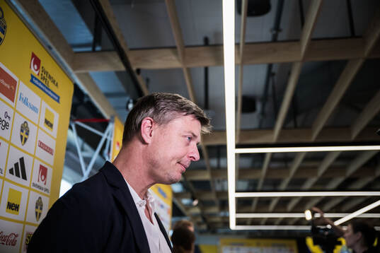 Head coach Jon Dahl Tomasson of the Swedish national