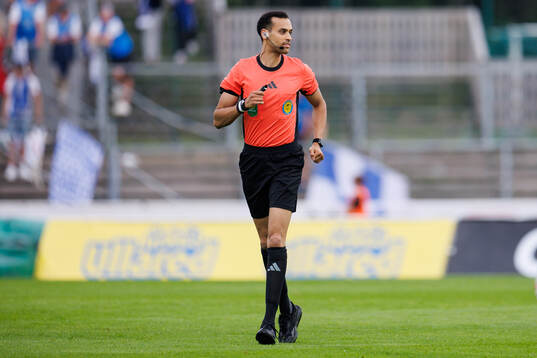 Domare Farouk Nehdi