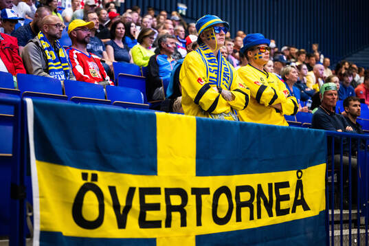 Supporters of Sweden
