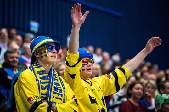 Supporters of Sweden