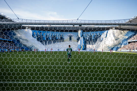 Tifo
