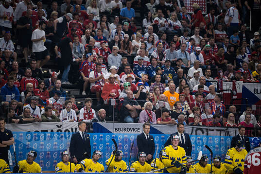 Head coach Sam Hallam of Sweden