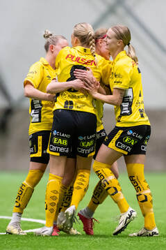 Elfsborgs spelare jublar