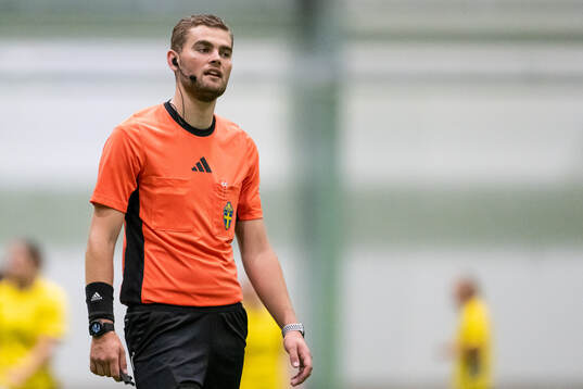 Domare Rasmus Hermansson