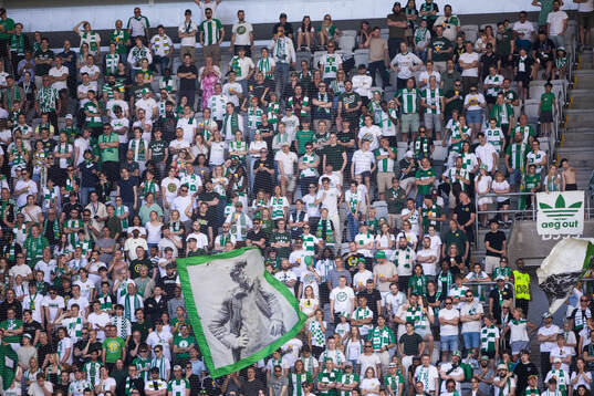 Hammarbys supportrar