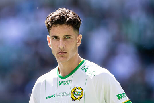 Hammarbys Deniz Gül