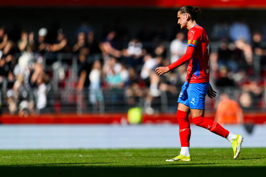 Helsingborgs Ervin Gigovic deppar