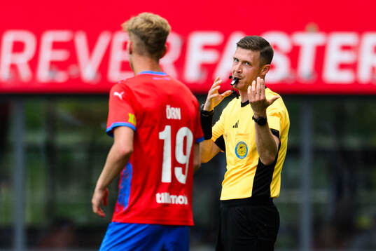 Domare Erik Mattsson