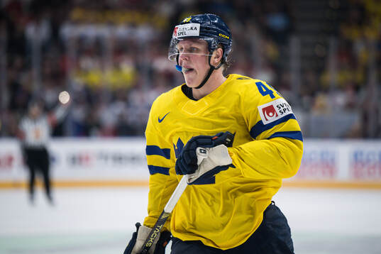Fabian Zetterlund of Sweden