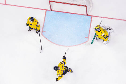 Pontus Holmberg, Fabian Zetterlund and goaltender Filip