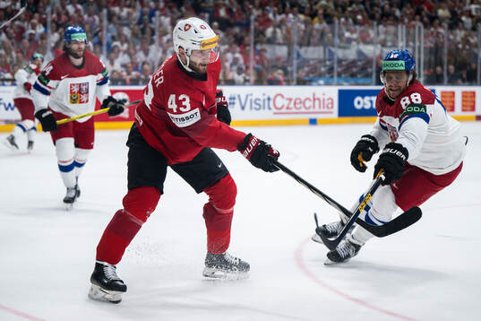Andrea Galuser of Switzerland and David Pastrnak of Czech
