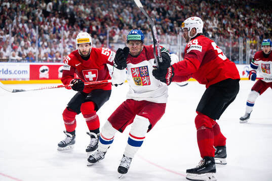 Romain Loeffel and Christian Marti of Switzerland against
