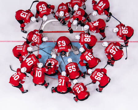 Players of Switzerland gather around goaltender Leonardo