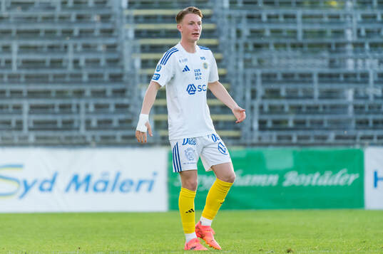 GIF Sundsvalls Hugo Aviander