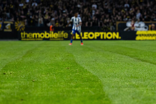Gräset på Friends Arena