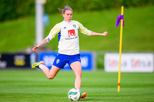 My Cato of Sweden at a training session the