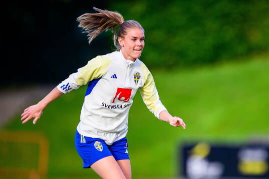 My Cato of Sweden at a training session the