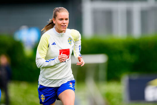 My Cato of Sweden at a training session