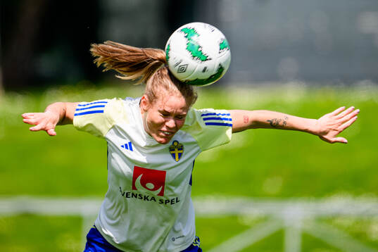 My Cato of Sweden at a training session