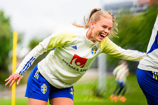 My Cato of Sweden at a training session