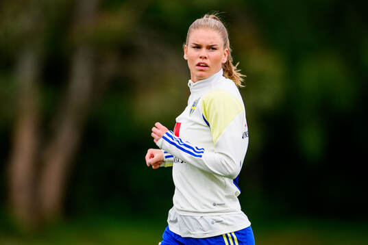 My Cato of Sweden at a training session