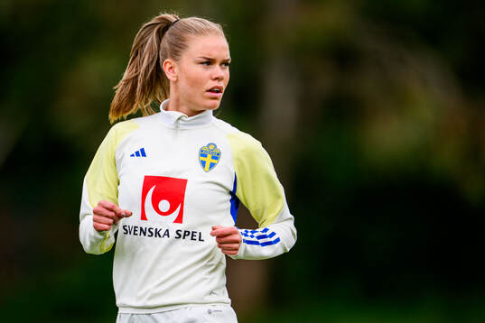 My Cato of Sweden at a training session